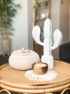 Hand Carved Timber Cactus