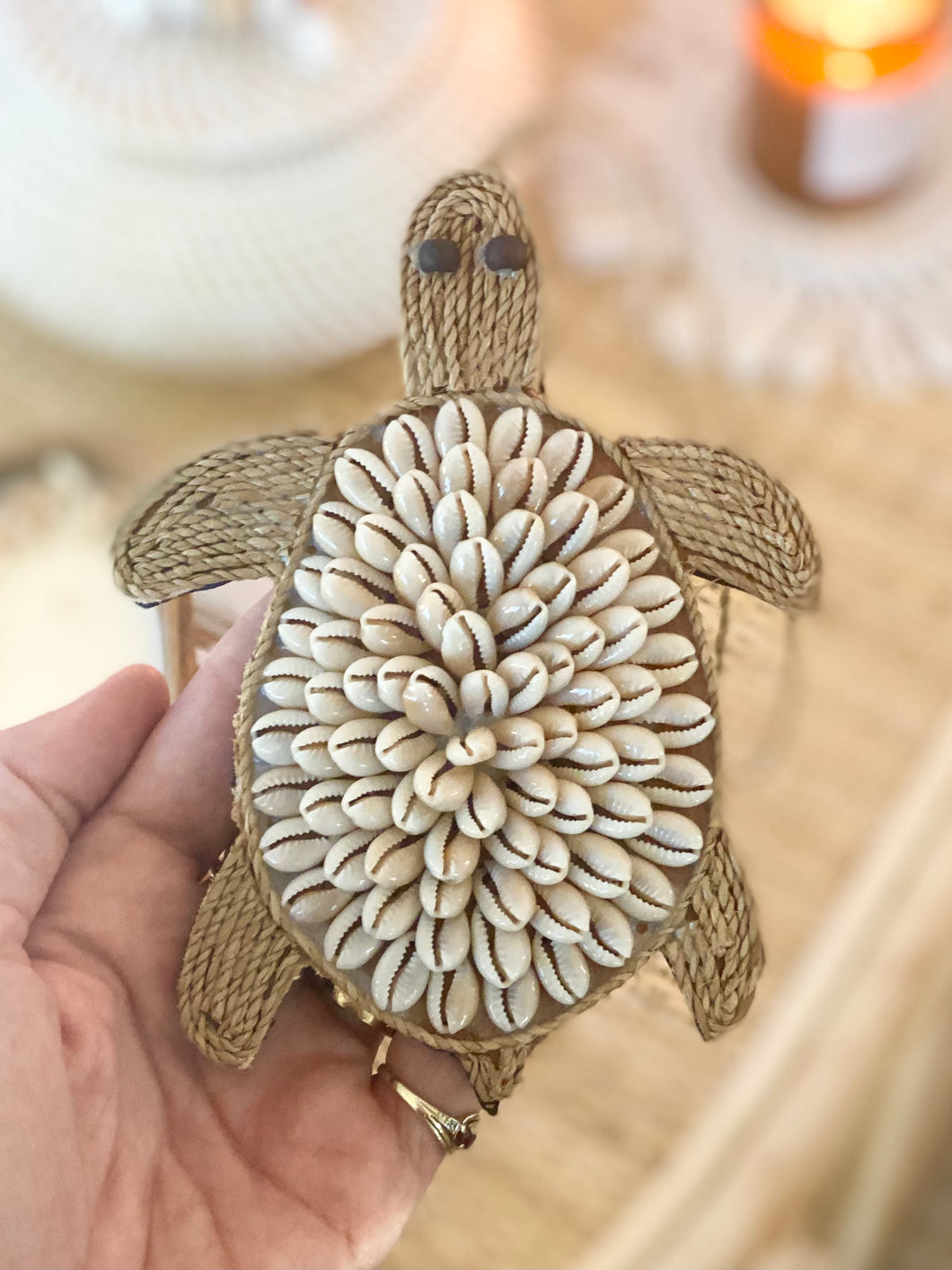 Shell Turtle Hanging