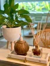 Coconut Soap Dispenser