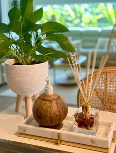 Coconut Soap Dispenser