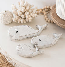 Whale Bundle - Set of 3