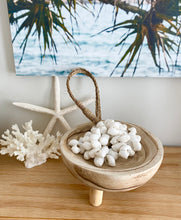 Cluster of Shells