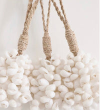 Cluster of Shells